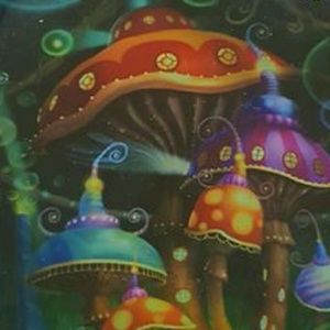 Meet your Posher, Simone